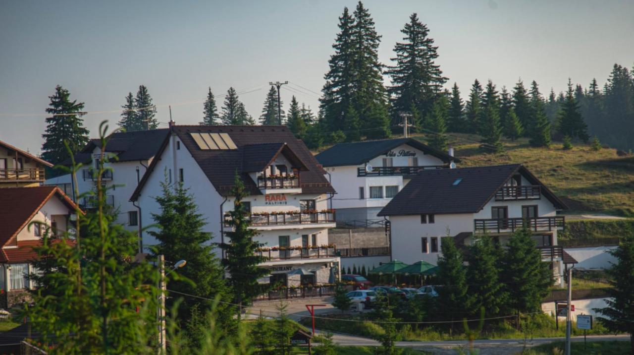 Pensiune Rara Păltiniş Eksteriør billede